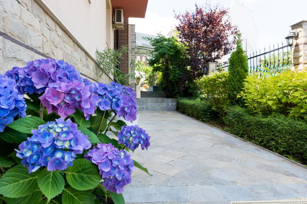 Hotel Siena House Sozopol Esterno foto